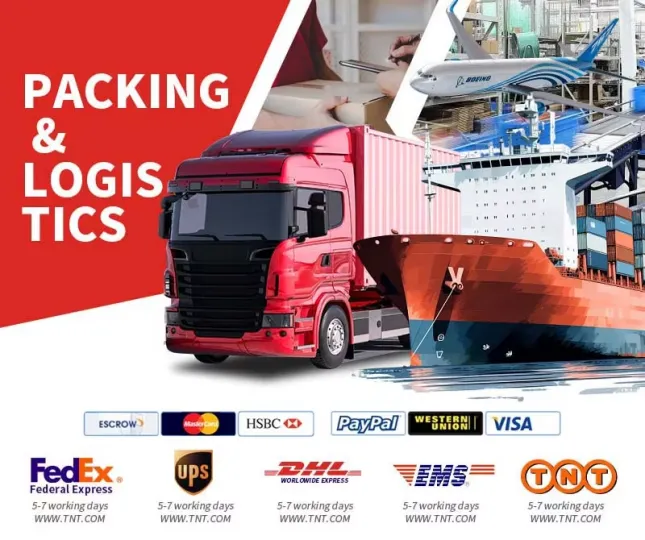 Глобал логистик болон аюулгүй төлбөрийн аргуудыг илэрхийлсэн дүрсүүд