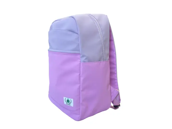 Colorblock Backpack