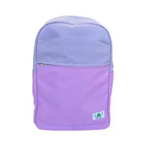 Colorblock Backpack