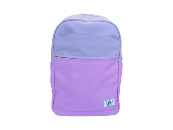 Colorblock Backpack