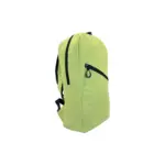 లైట్-గ్రీన్-ఫోల్డబుల్-బ్యాక్‌ప్యాక్